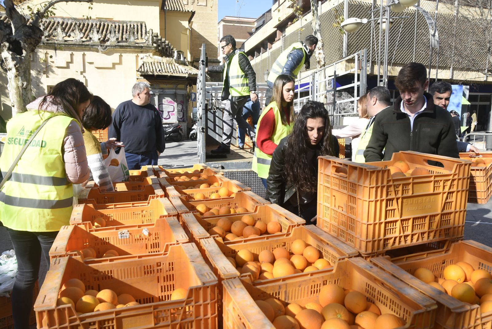 Un momento del reparto de naranjas en el Bulevar del Gran Capitán de Córdoba