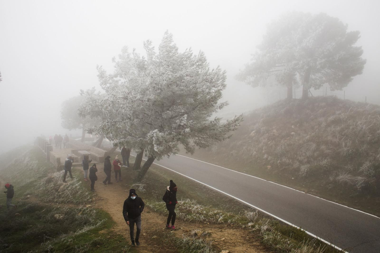 Mañana de hielo en la Sierra de Cádiz