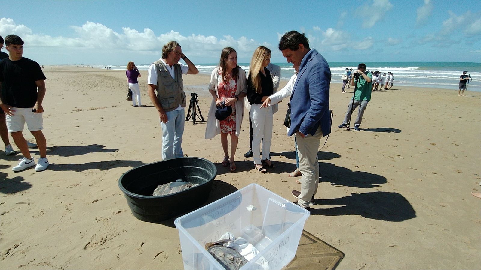 Suelta de tortugas marinas en la playa de Camposoto
