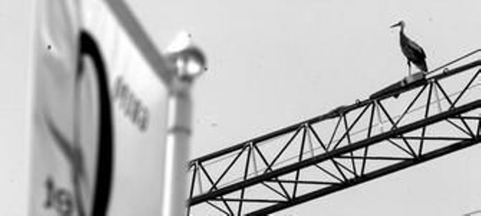 Una cigüeña anida en una grúa de una obra parada hace meses en Jerez.