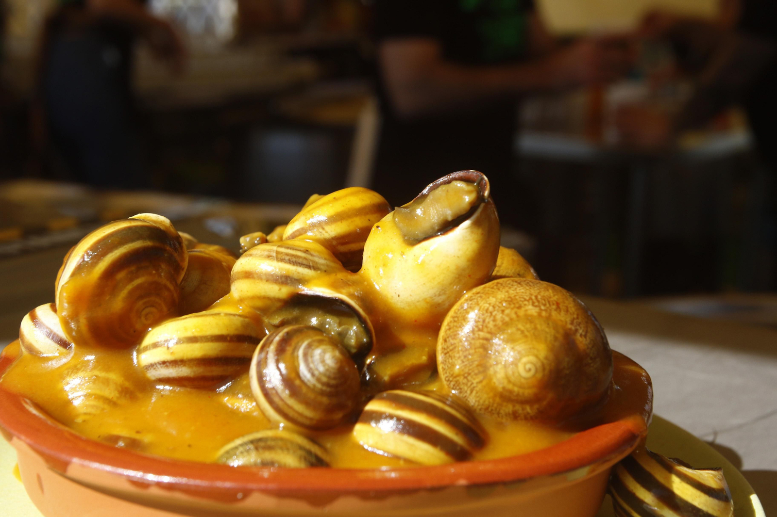 El comienzo de la temporada de caracoles 2022, en imágenes