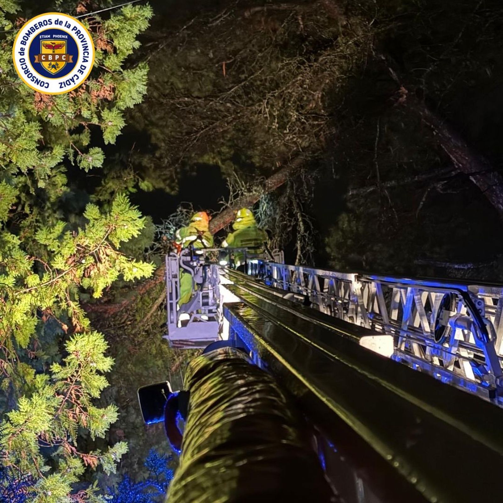 Bomberos retirando ramas de árbol caídas que impedían el acceso a un carril agrícola en la Hijuela del Serrallo.