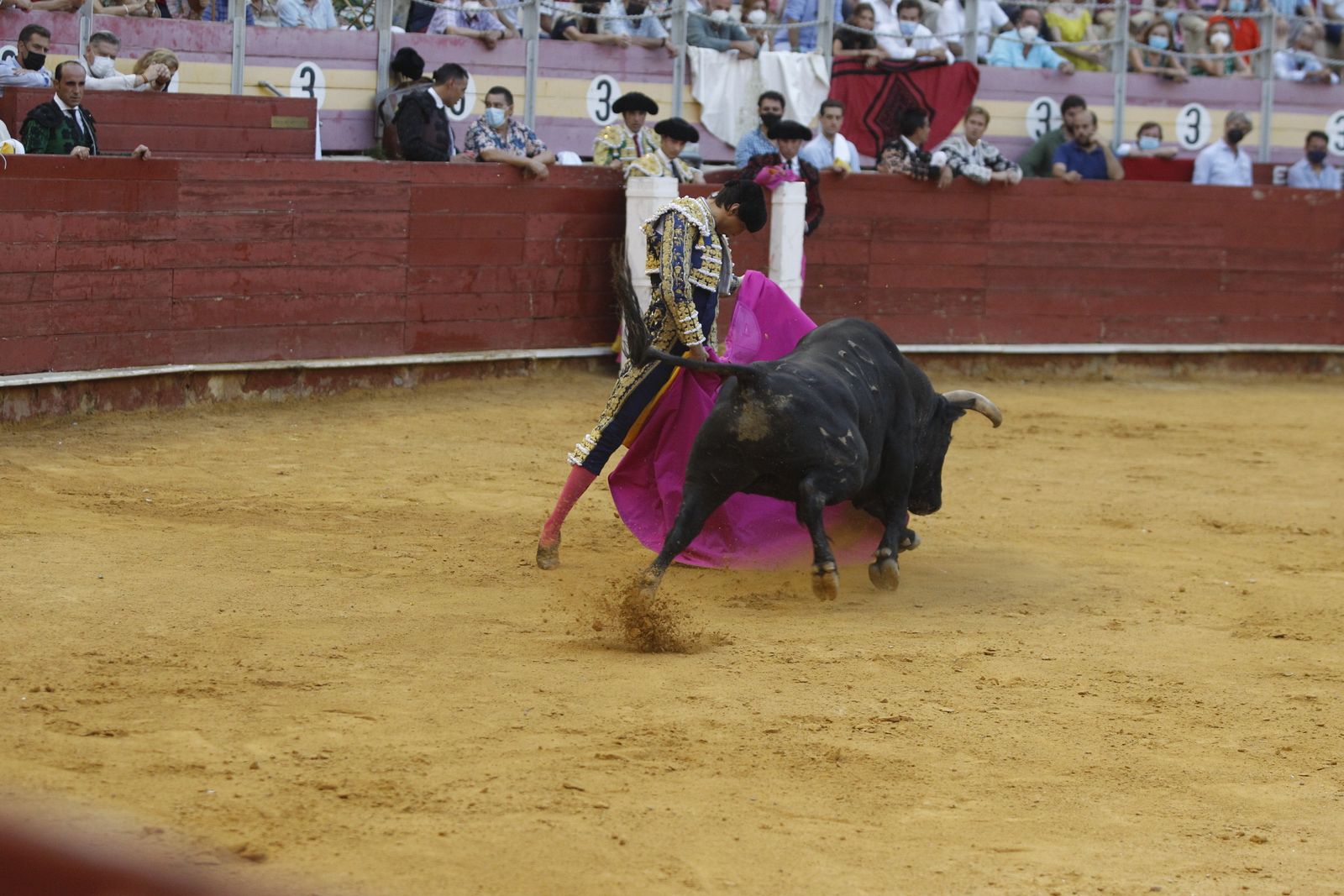 Fotogalería segunda corrida de toros Feria de Almeria 2021