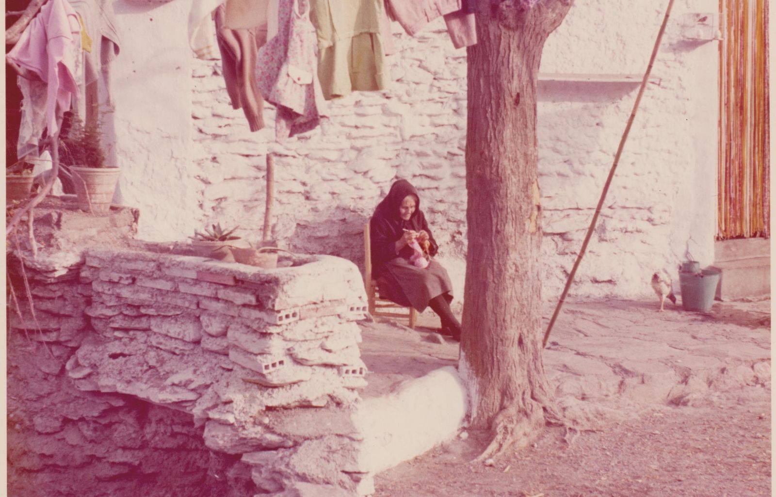 Estampa de la vida cotidiana en la zona del Andarax.