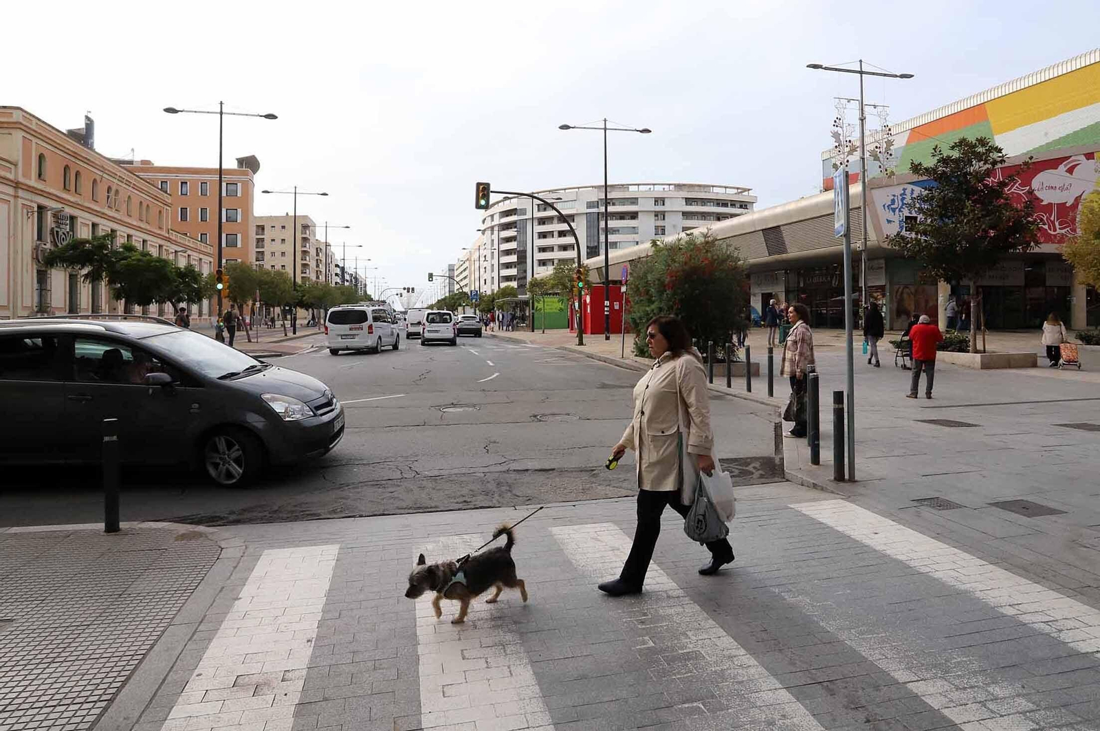 Barrio a barrio: Imágenes de Pescadería