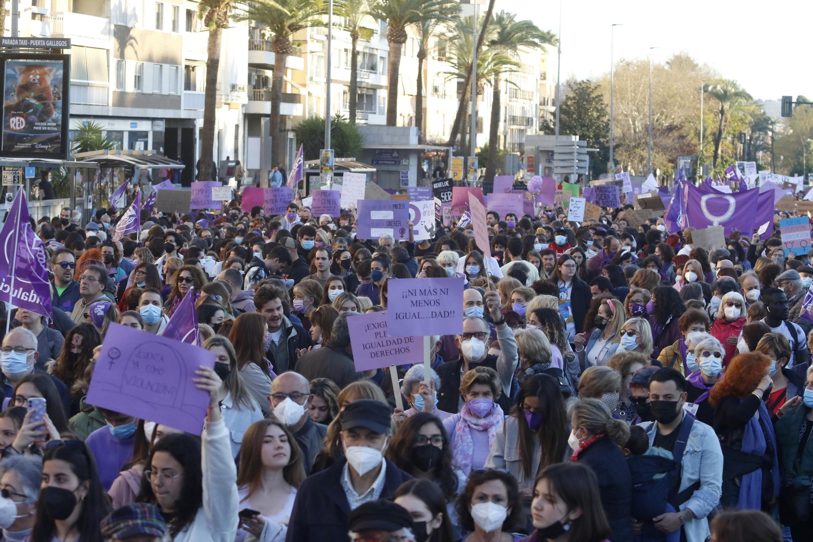 La manifestación del 8M en Córdoba, en fotografías