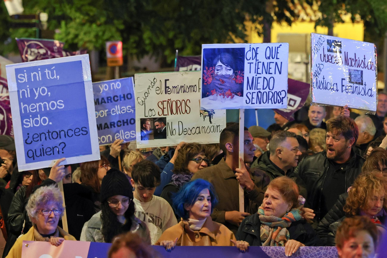 La manifestación del 25N en Málaga, en imágenes