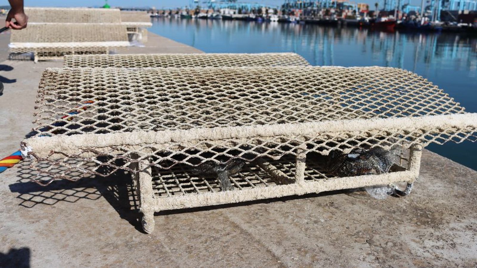 Las estructuras de los microarrecifes, antes de ser instalados en los muelles.