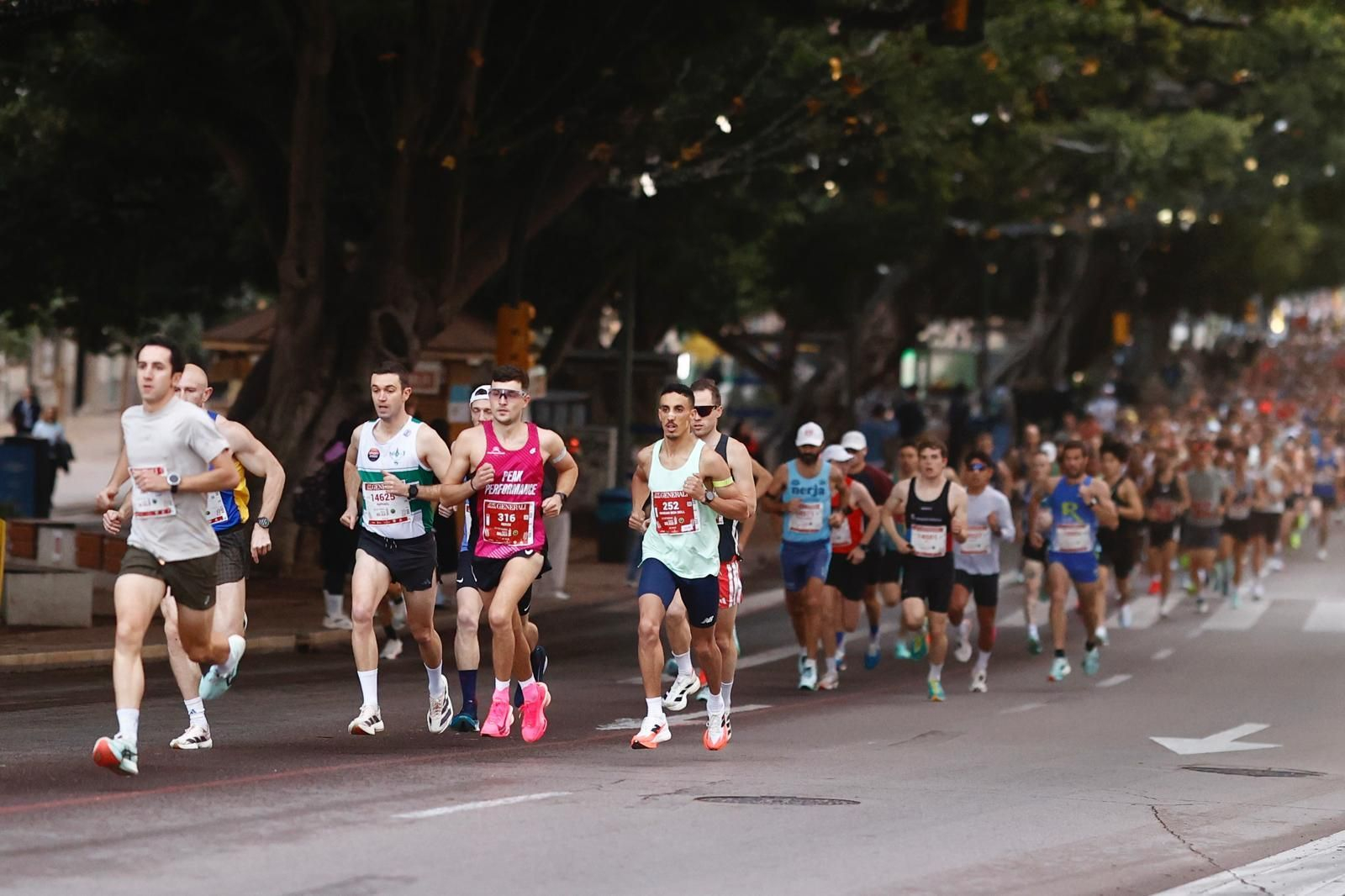 Las fotos de la Maratón de Málaga 2025
