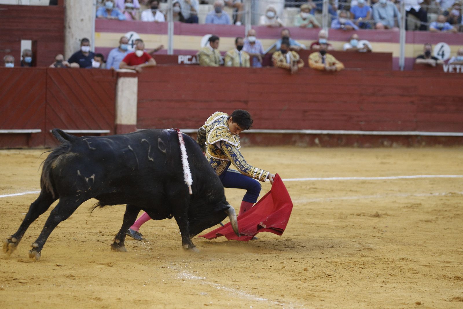 Fotogalería segunda corrida de toros Feria de Almeria 2021