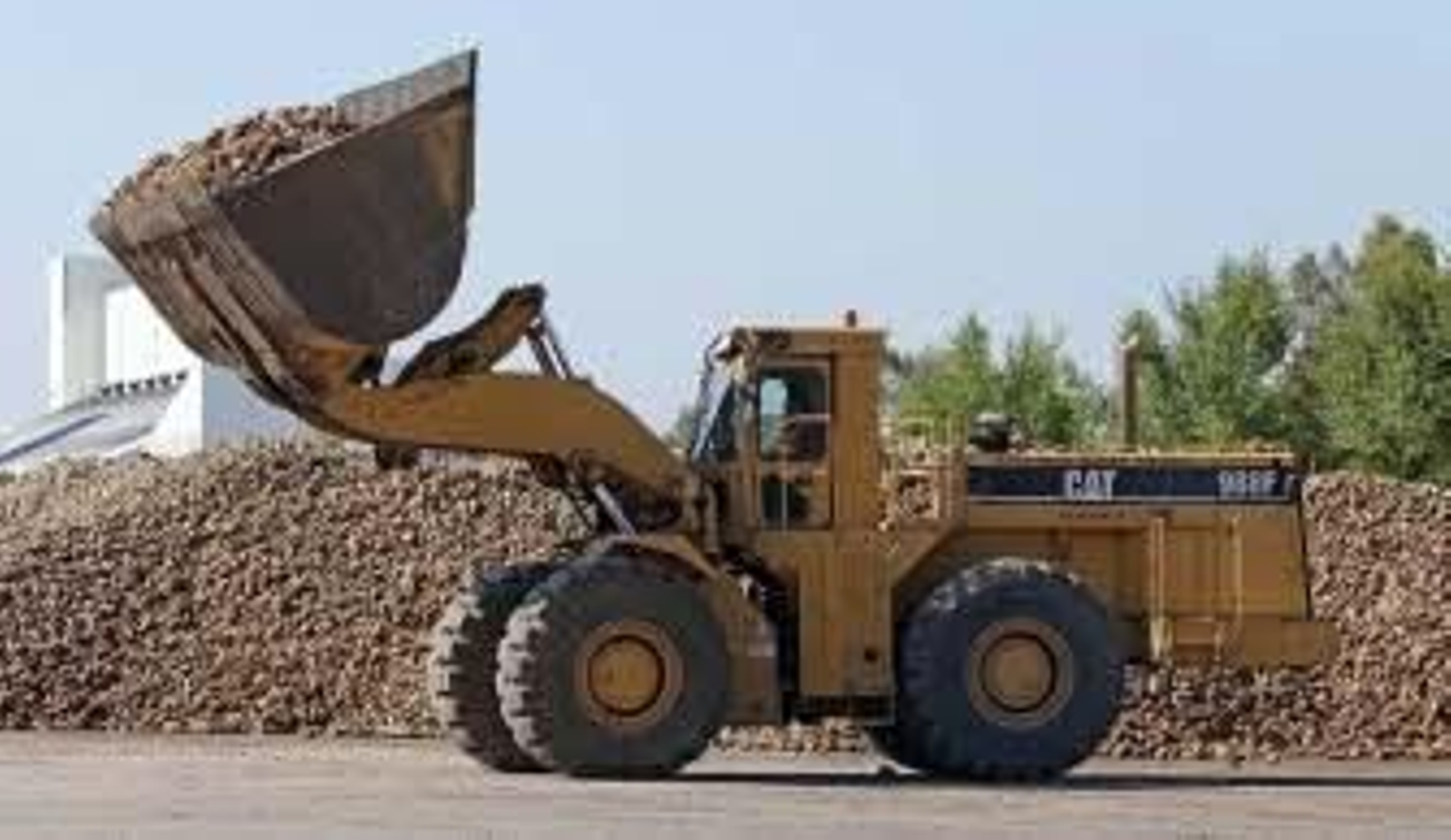 La campaña comienza con 300.000 toneladas de remolacha