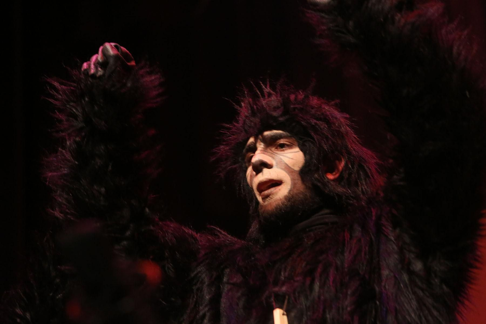 Cuarto día de preliminares del Carnaval Colombino en imágenes