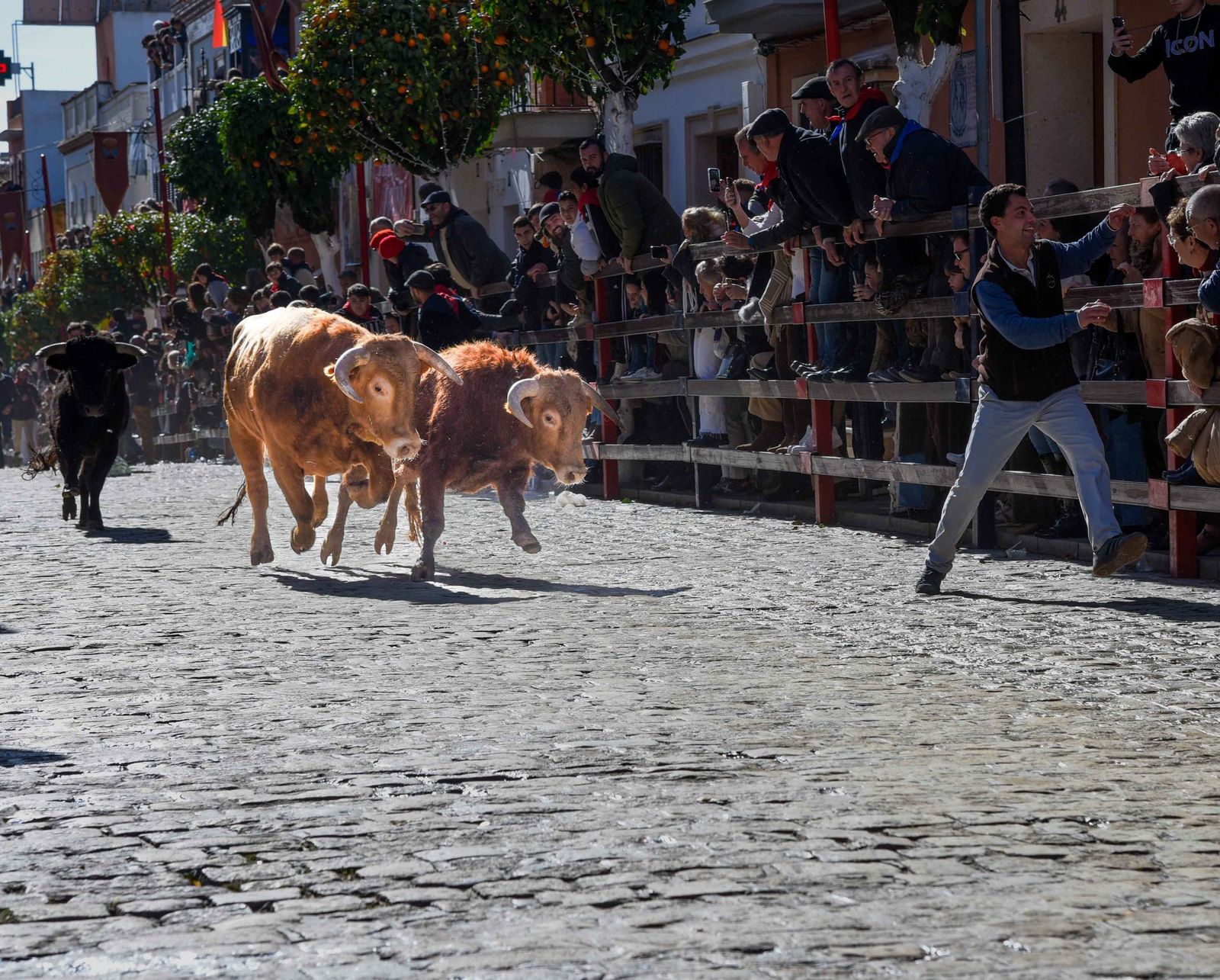 Las imágenes de los festejos de San Sebastián en La Puebla del Río 2026