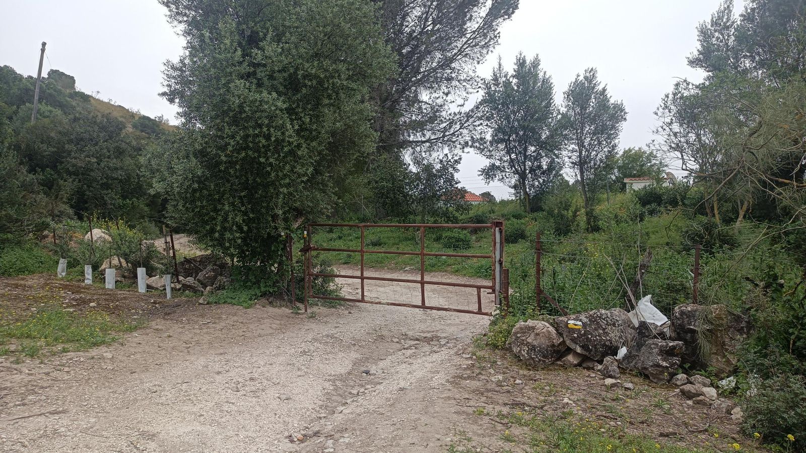 Salimos de la finca por otra cancela.