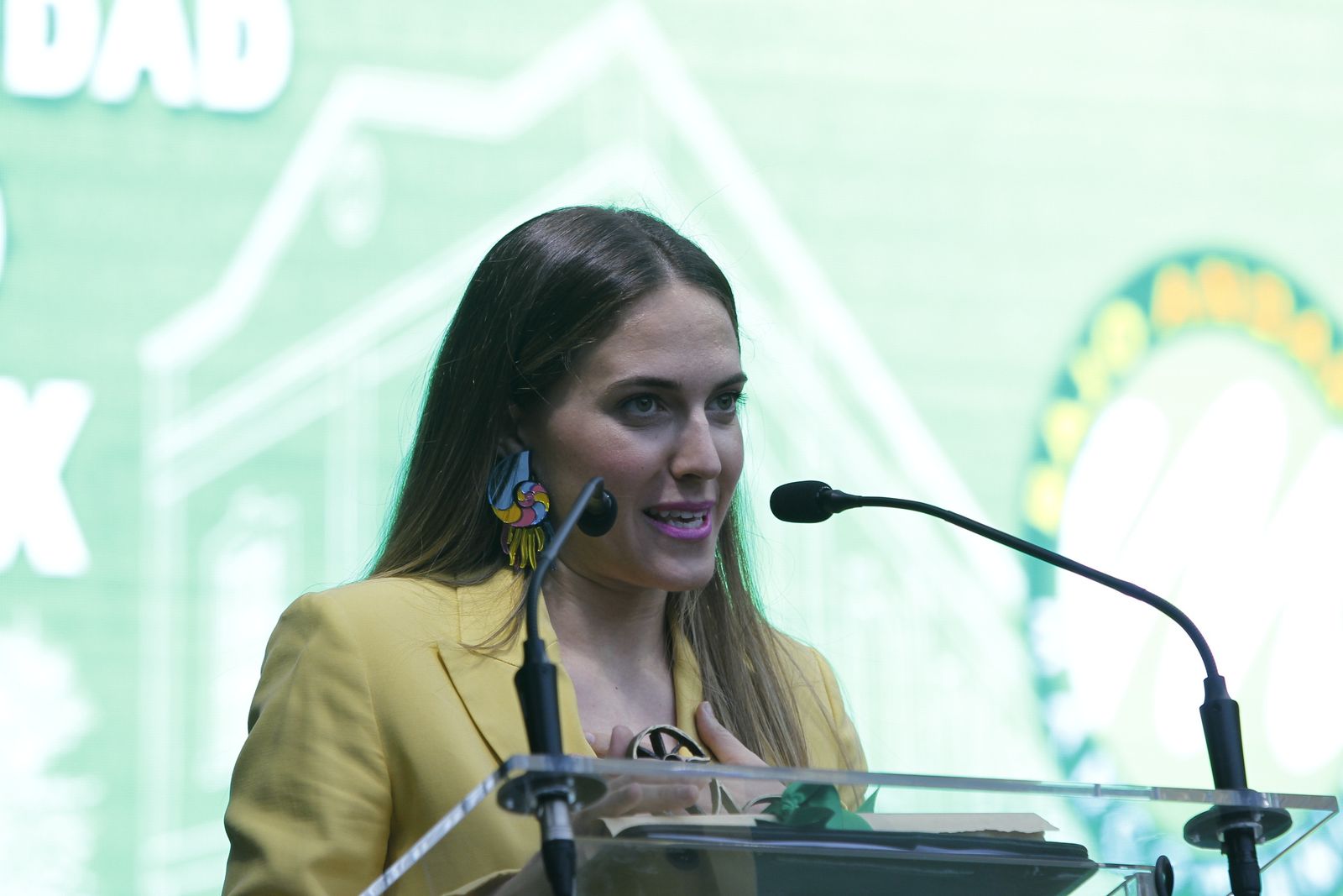 Fotogalería VII Día de la Comarca del Bajo Andarax