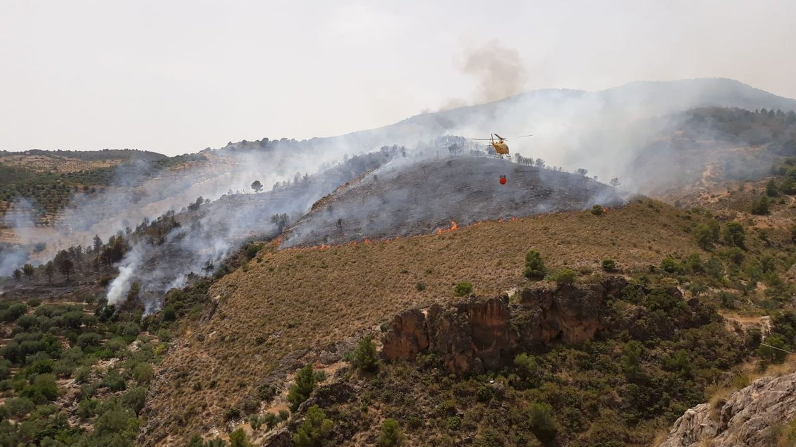 Incendio forestal en el paraje del Pantano de Cubillas, a principios de este mes de julio.