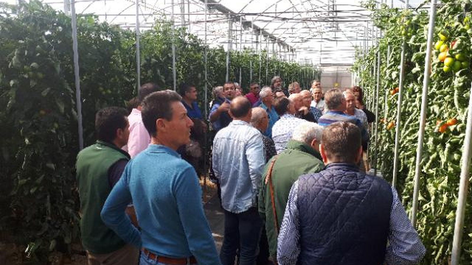 Tras la jornada, los participantes visitaron los ensayos en las instalaciones del centro Ifapa de La Mojonera.