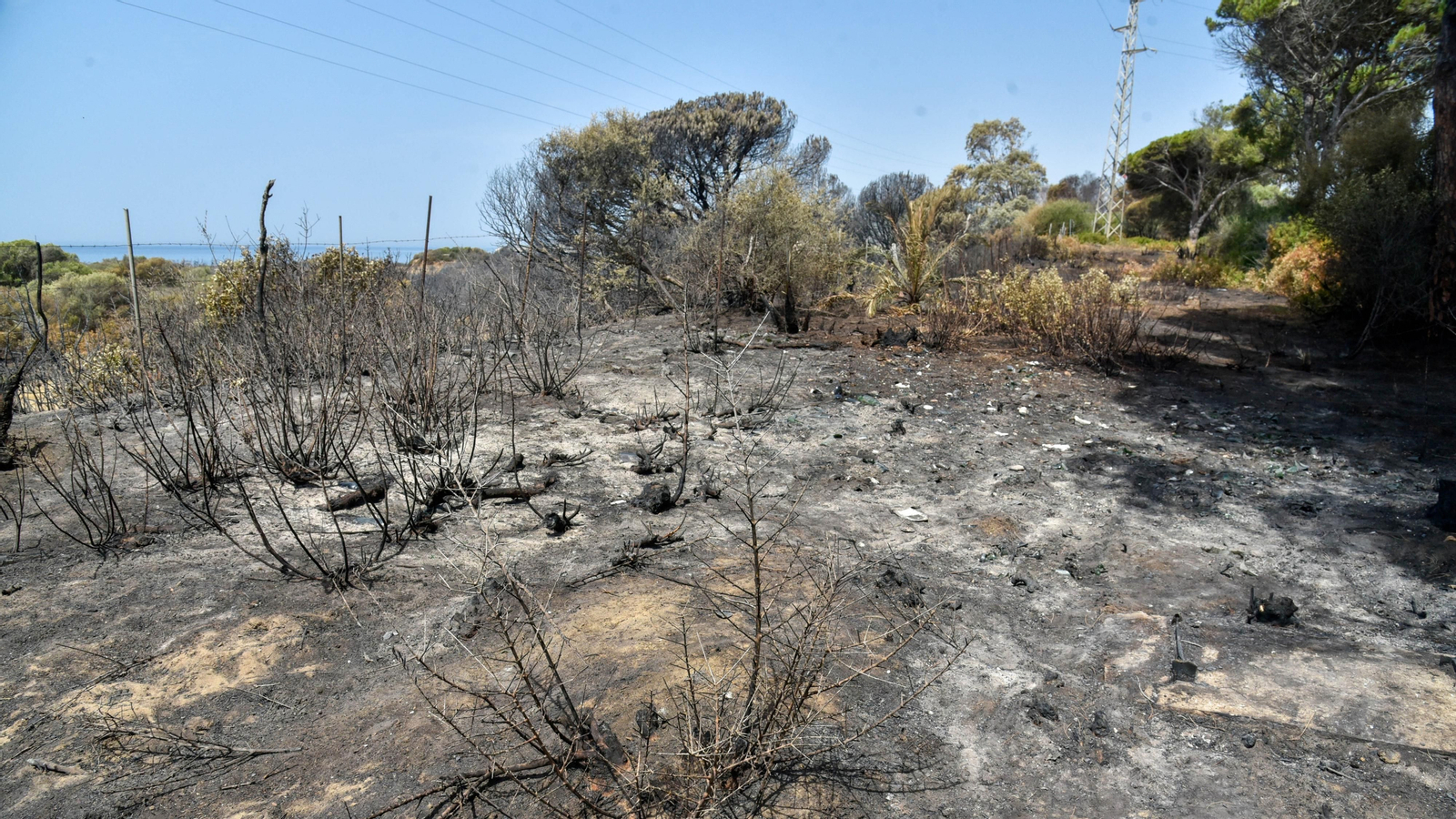 Fotos del incendio de Valdevaqueros que arrasó con 11 hectáreas de Parque Natural del Estrecho Las fotos de la zona afectada por el incendio de Valdevaqueros