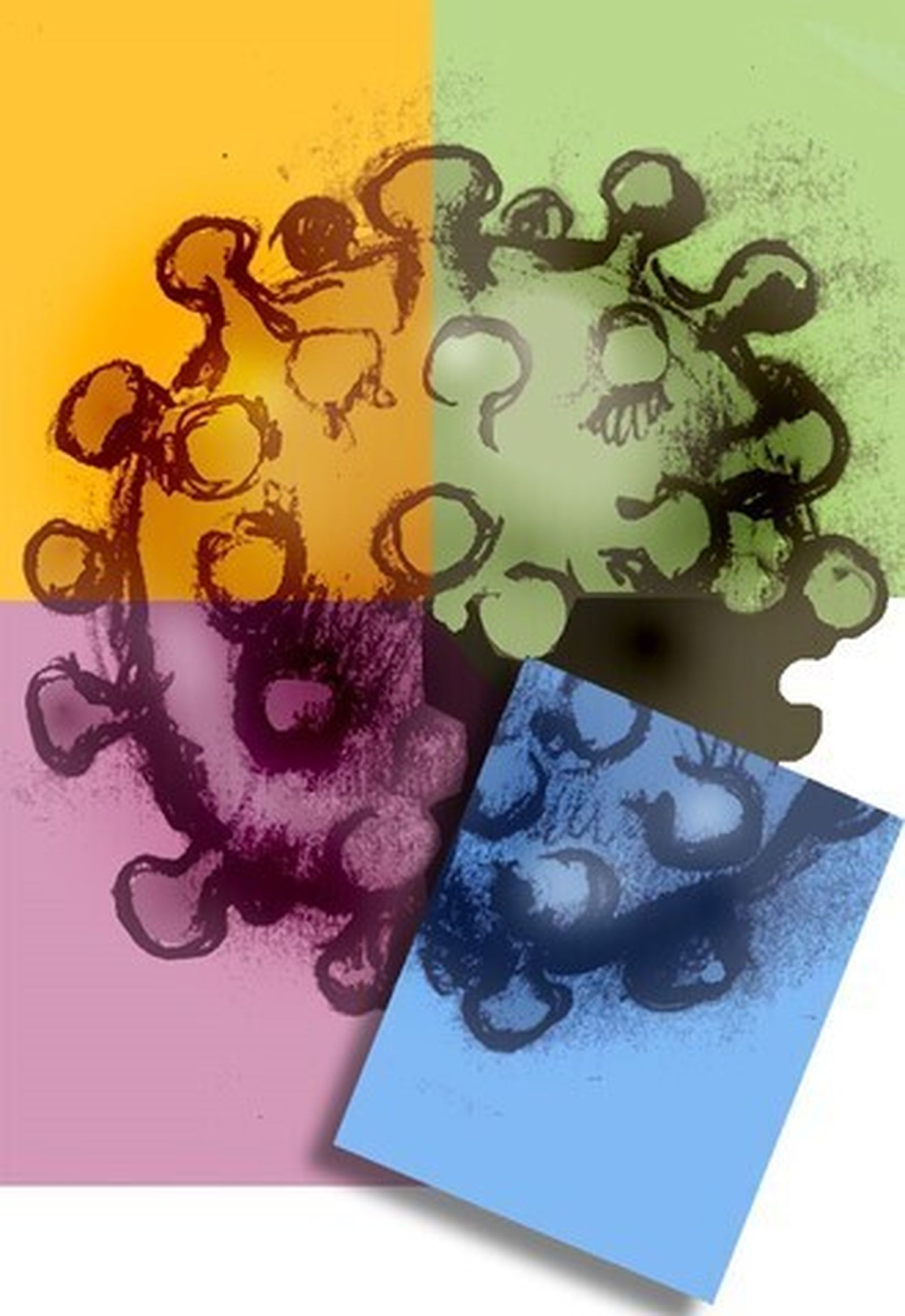 El Estado y el movimiento antivacunas