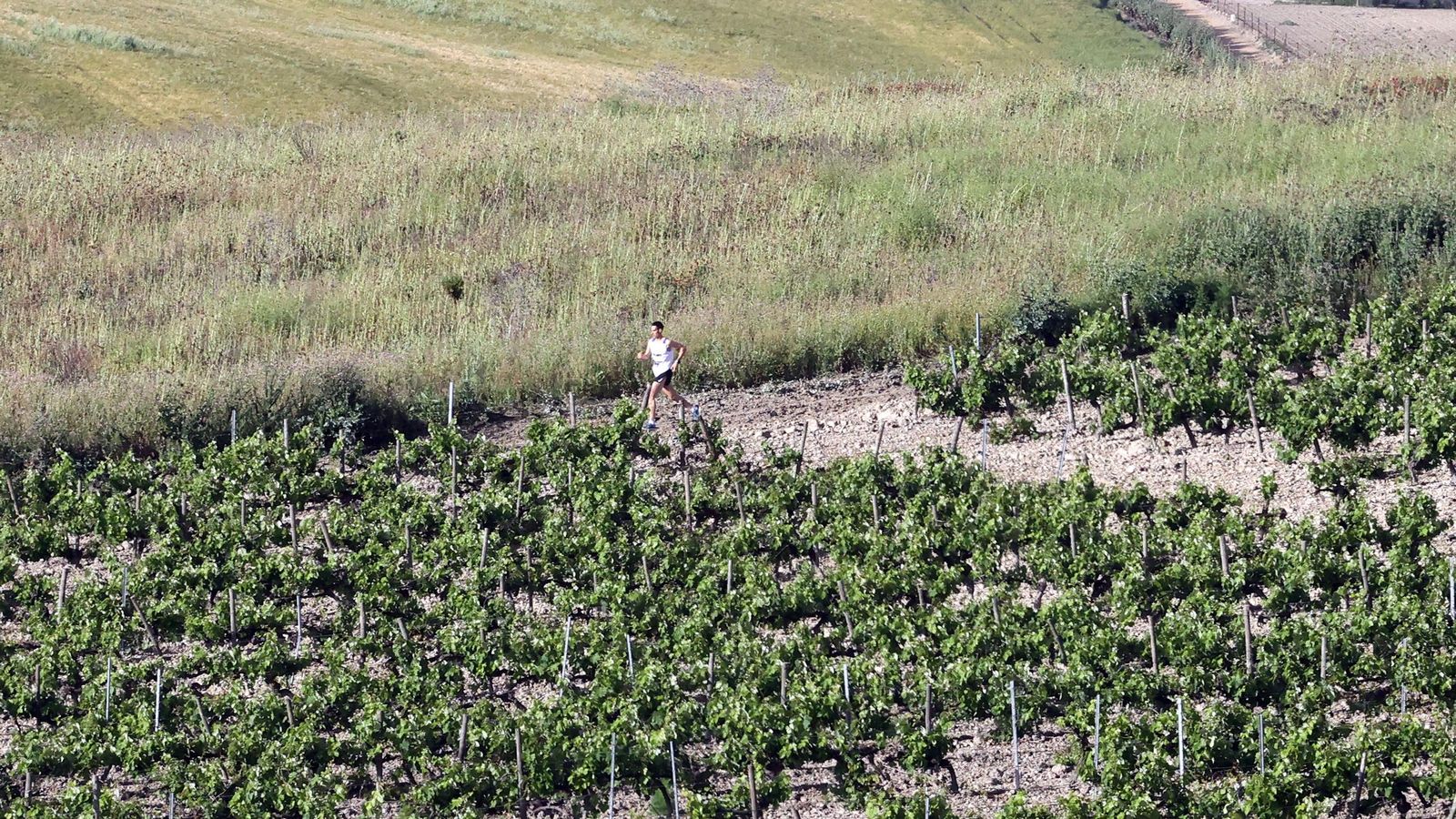 Búscate en la Sherry Maratón 2025 de Jerez (I)