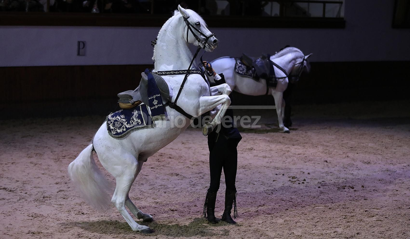 Imágenes de la Gala de la Real Escuela del Arte Ecuestre, sublime Ainhoa Arteta bailando con los 'Caballos Andaluces'