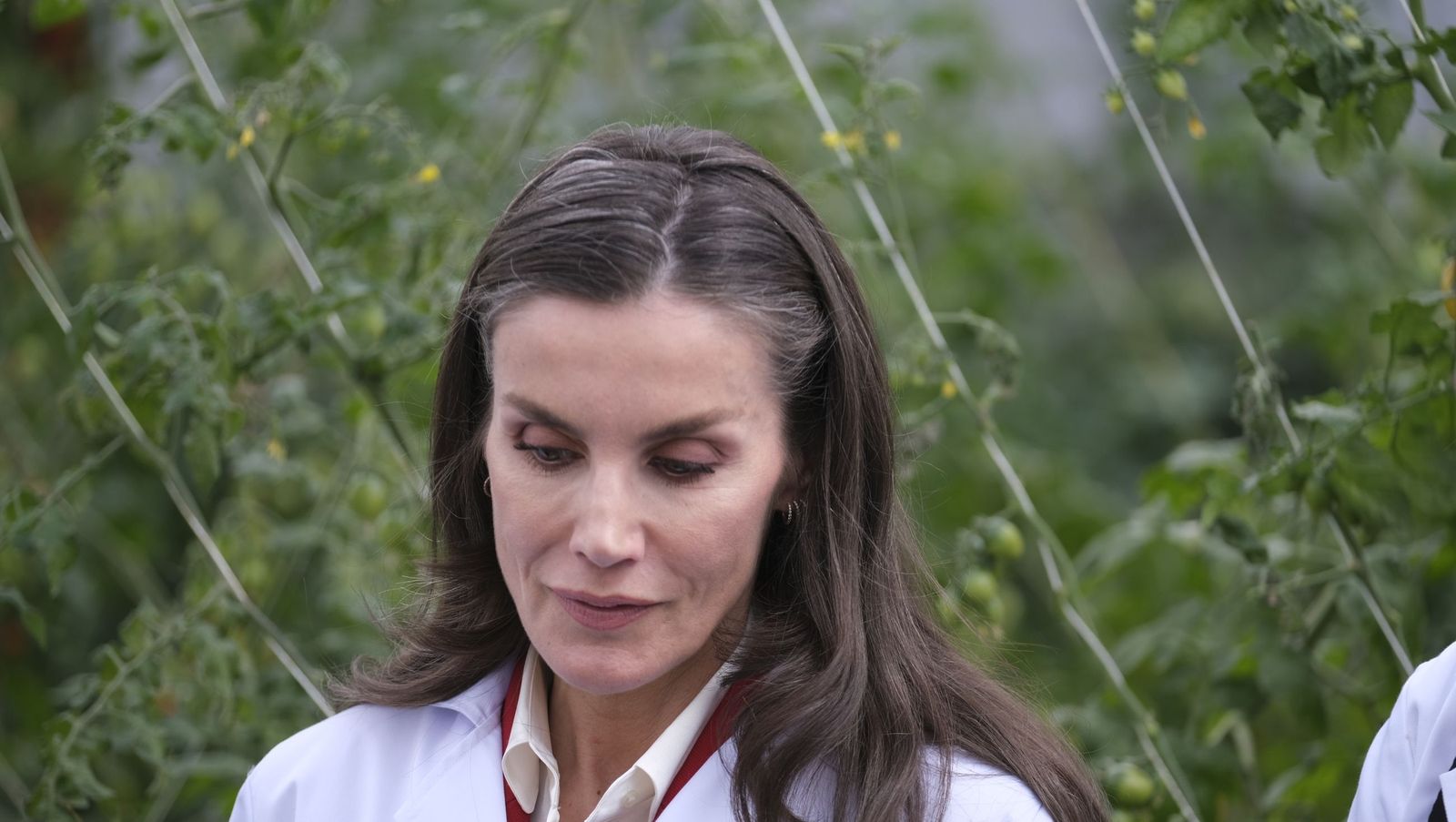 La visita de la reina Letizia a El Ejido, en imágenes