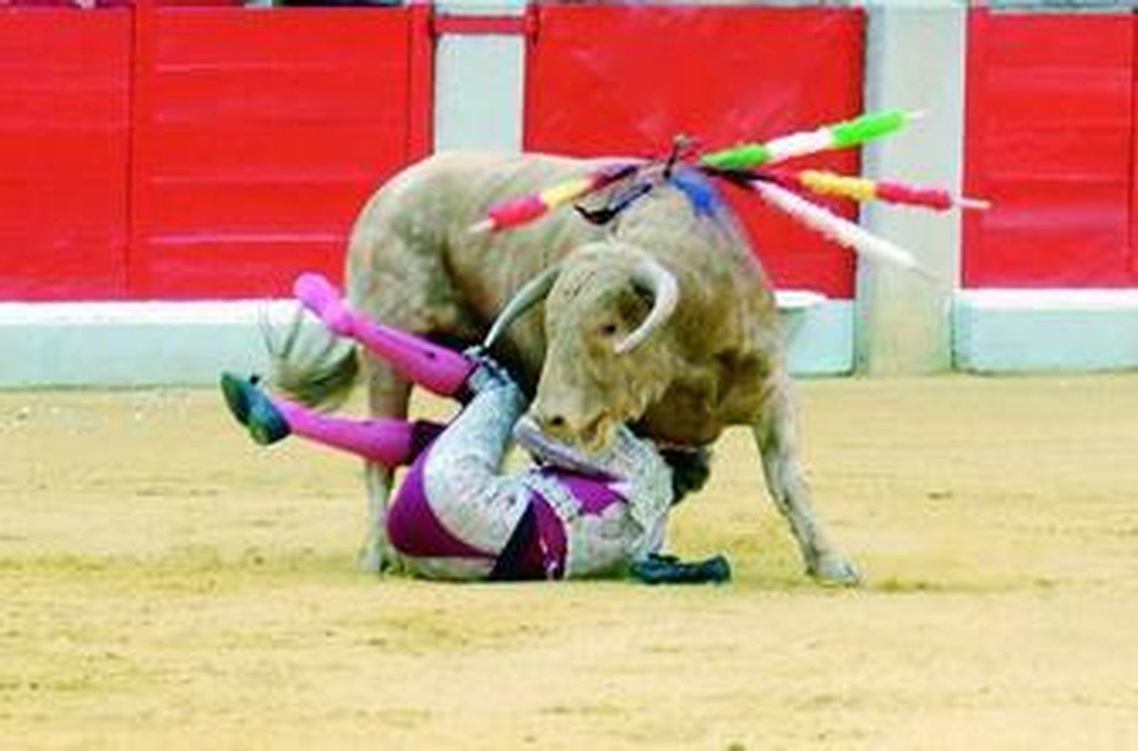 Las ganas de los jóvenes por hacer una gran faena ocasionaron que fueran revolcados en varias ocasiones.