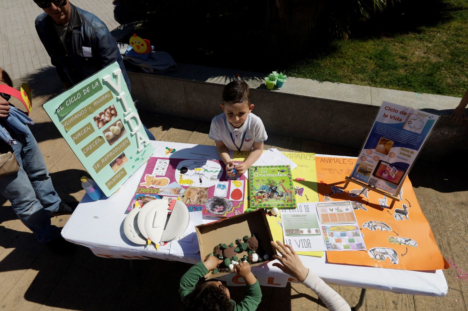 La IX Jornada de la Ciencia se celebra en el Colegio María Auxiliadora de Cádiz (Salesianas).
