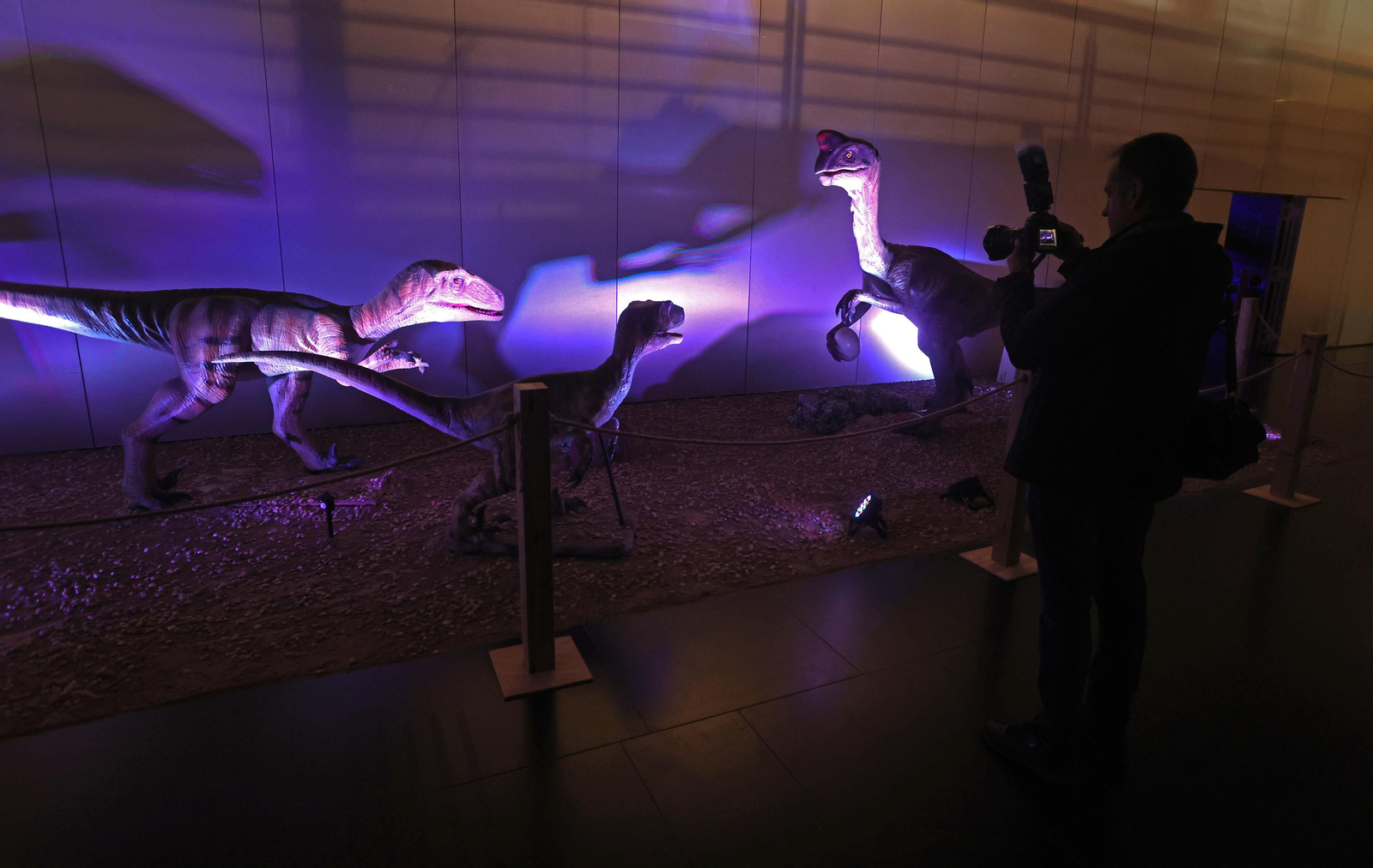 Exposición DINOSAURS LIVE