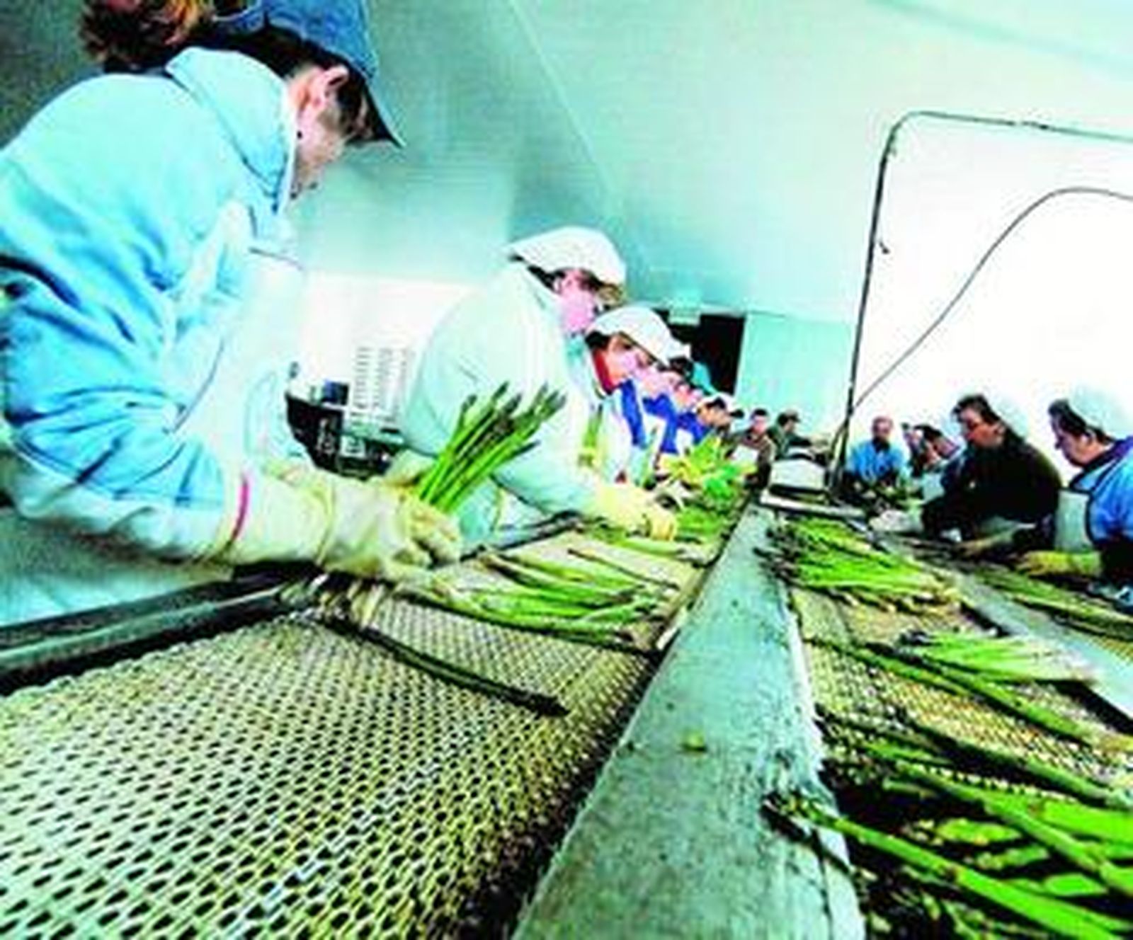 Marca única para las denominaciones de origen