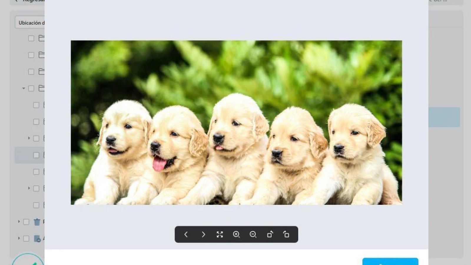Recuperar datos perdidos de disco duro con Wondershare Recoverit