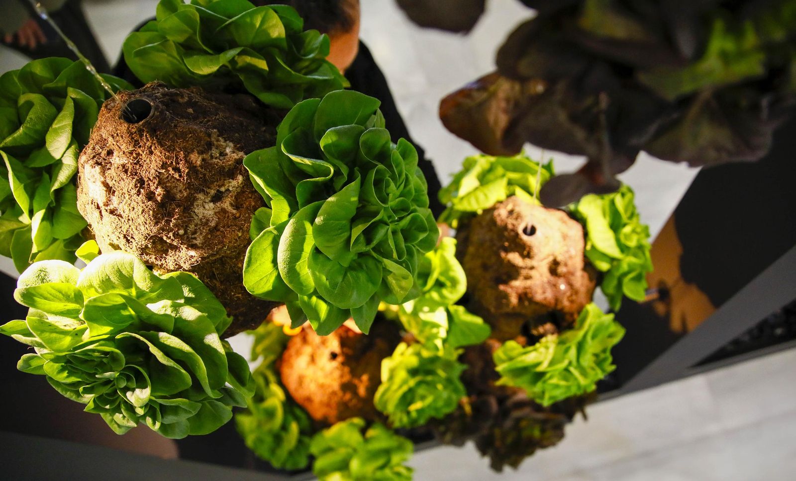 Imágenes de la inauguración de Vestial 20205 en el Palacio del Toyo