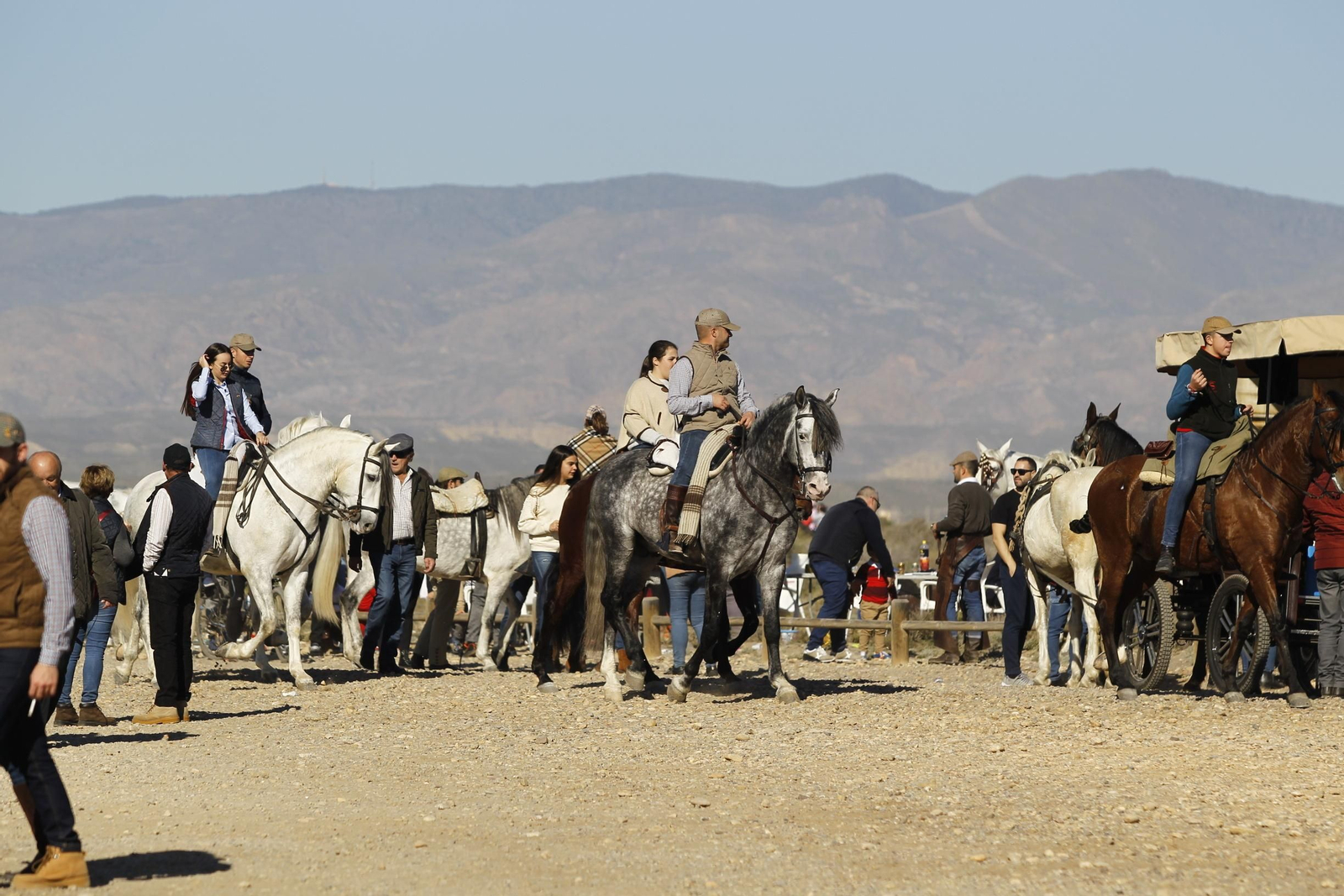 Fotogalería Romería de Torregarcía. Almería