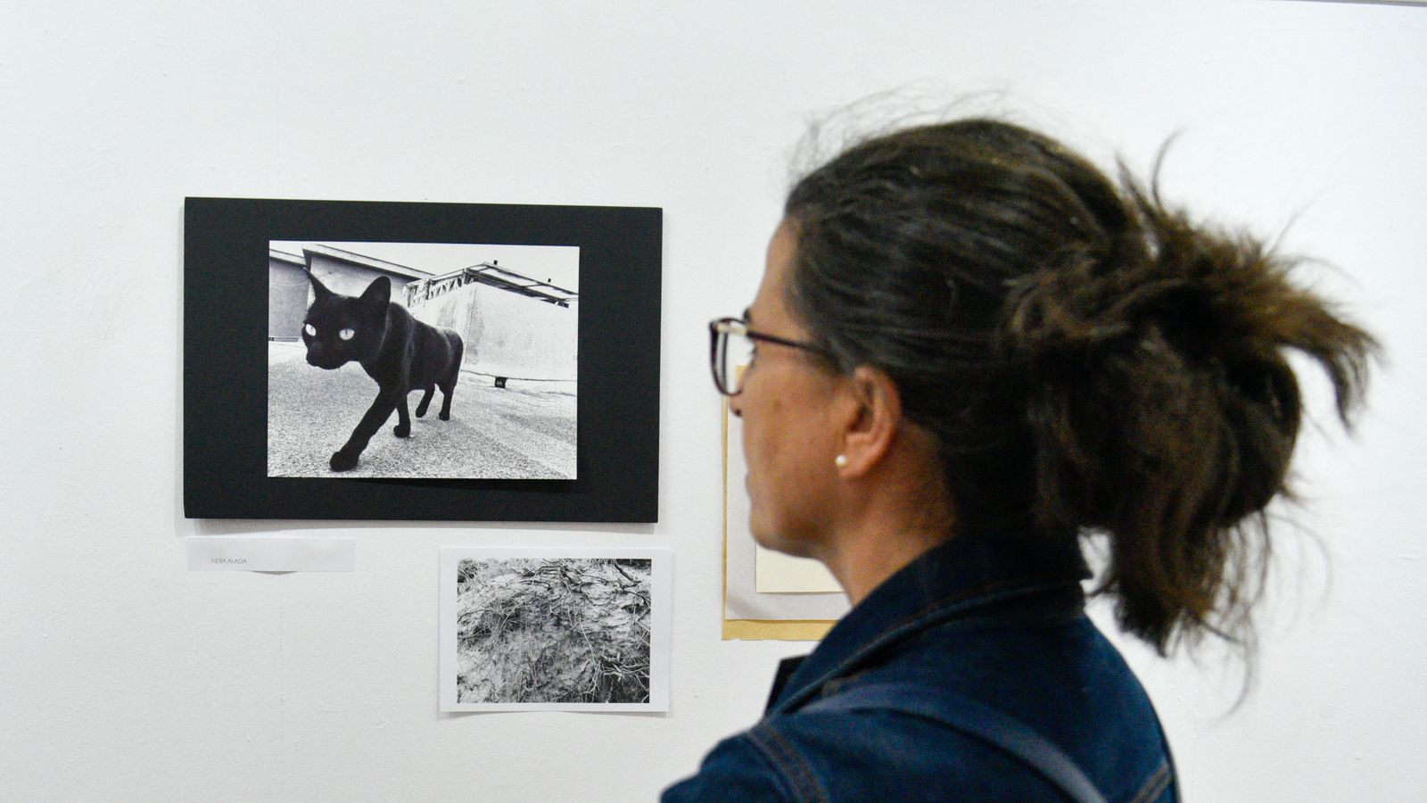 Las fotos deTarifa La Noche en Blanco 2022