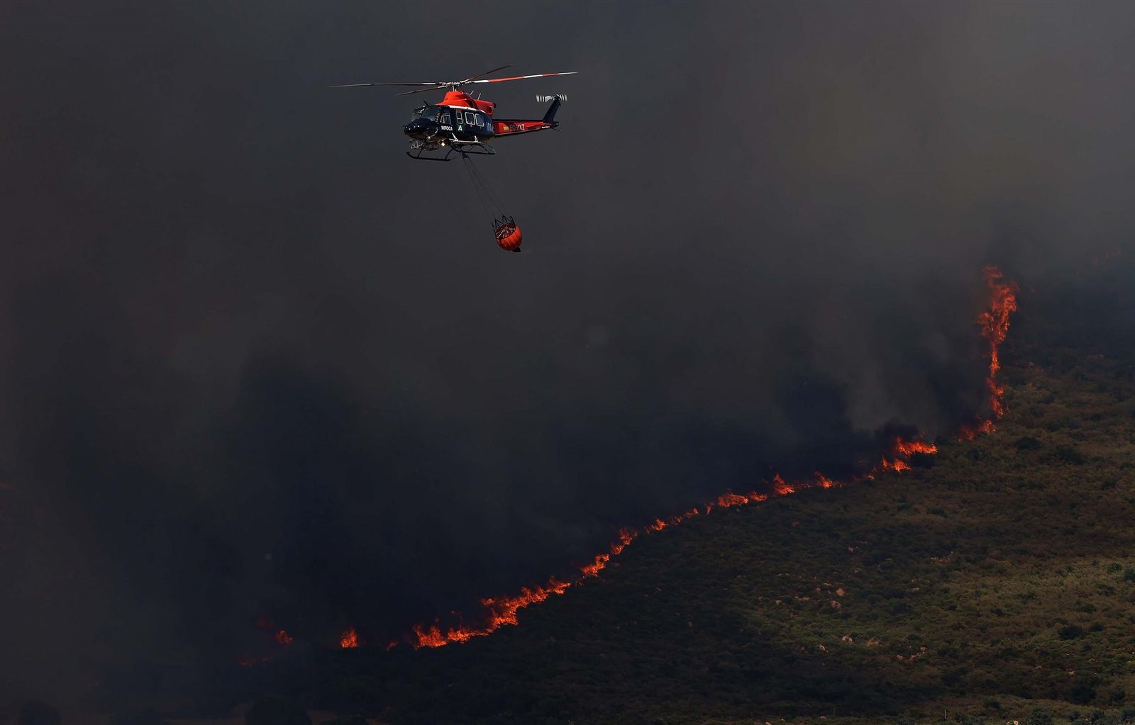 Incendio en Tarifa el pasado junio