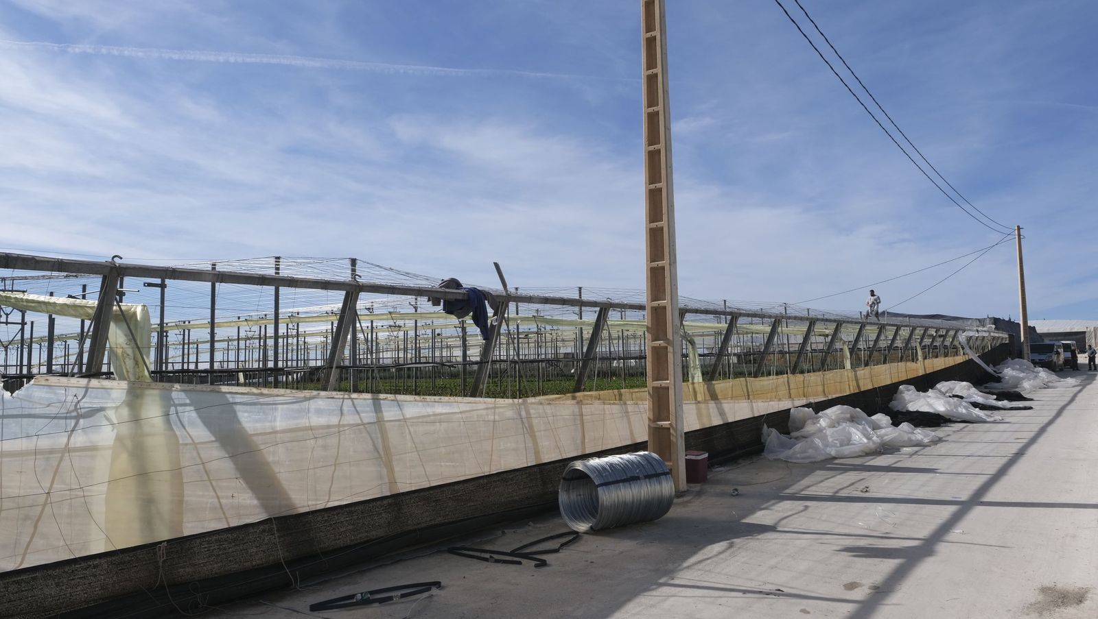 Los efectos del temporal de viento en los invernaderos, en imágenes
