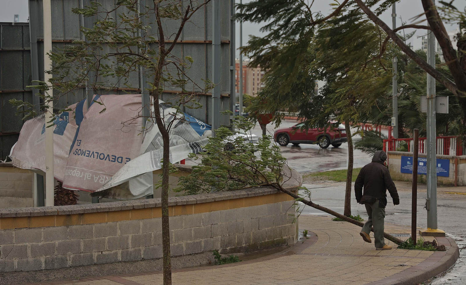 Fotos de los daños del temporal Karlotta en Algeciras
