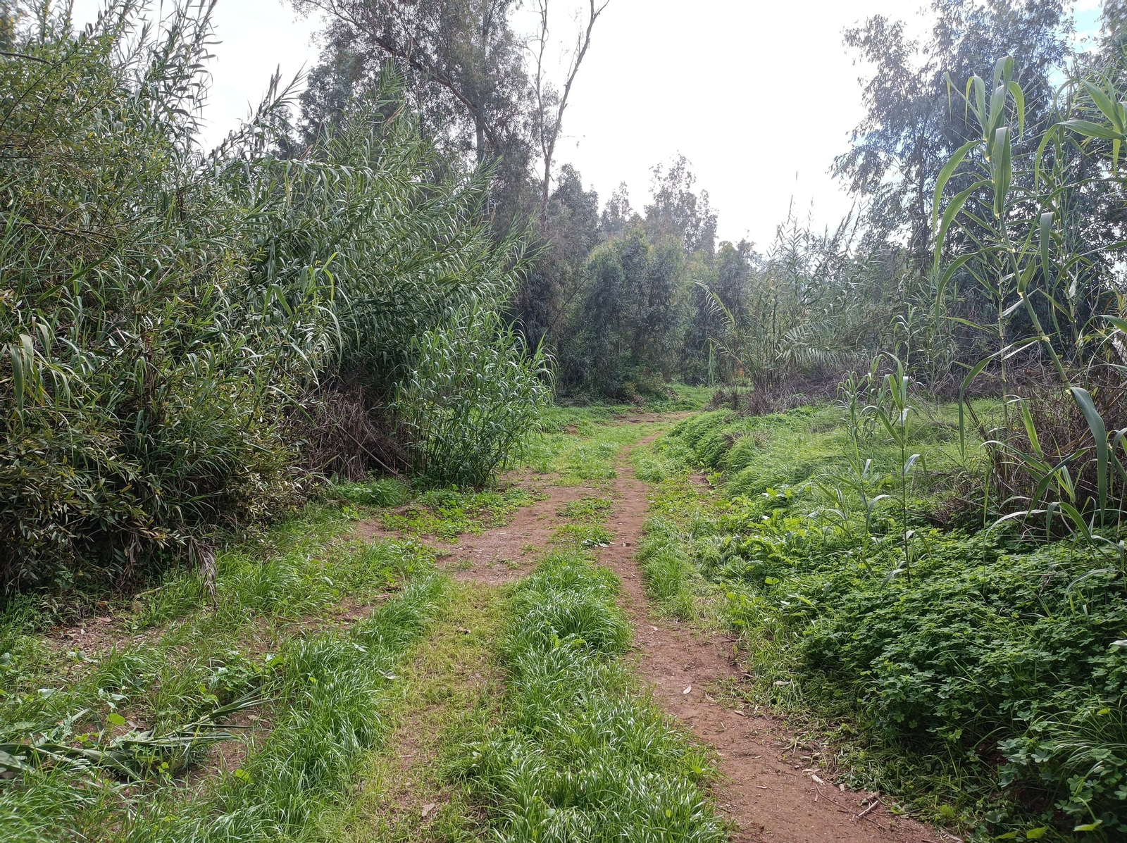 Sendero de retorno por la margen opuesta del río. Sendero de retorno por la margen opuesta del río.