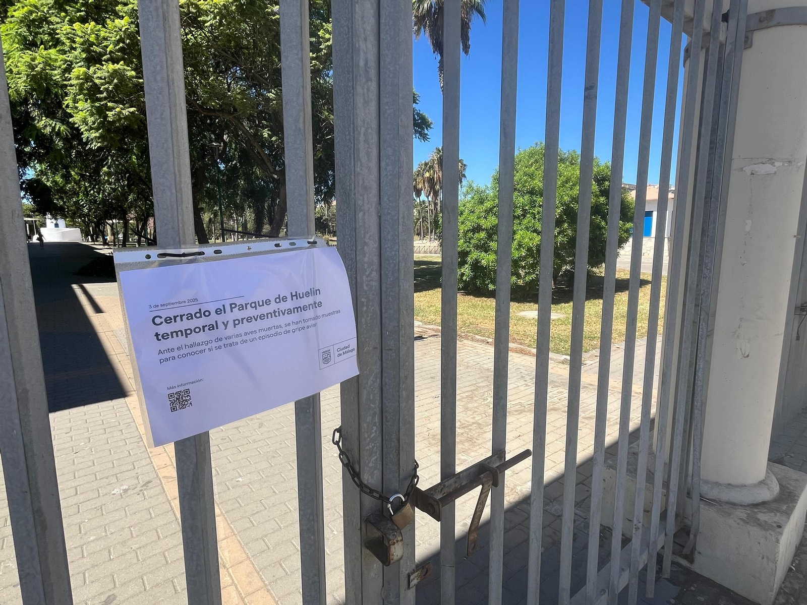 Cierre del parque de Huelin en Málaga tras aparecer varias aves muertas