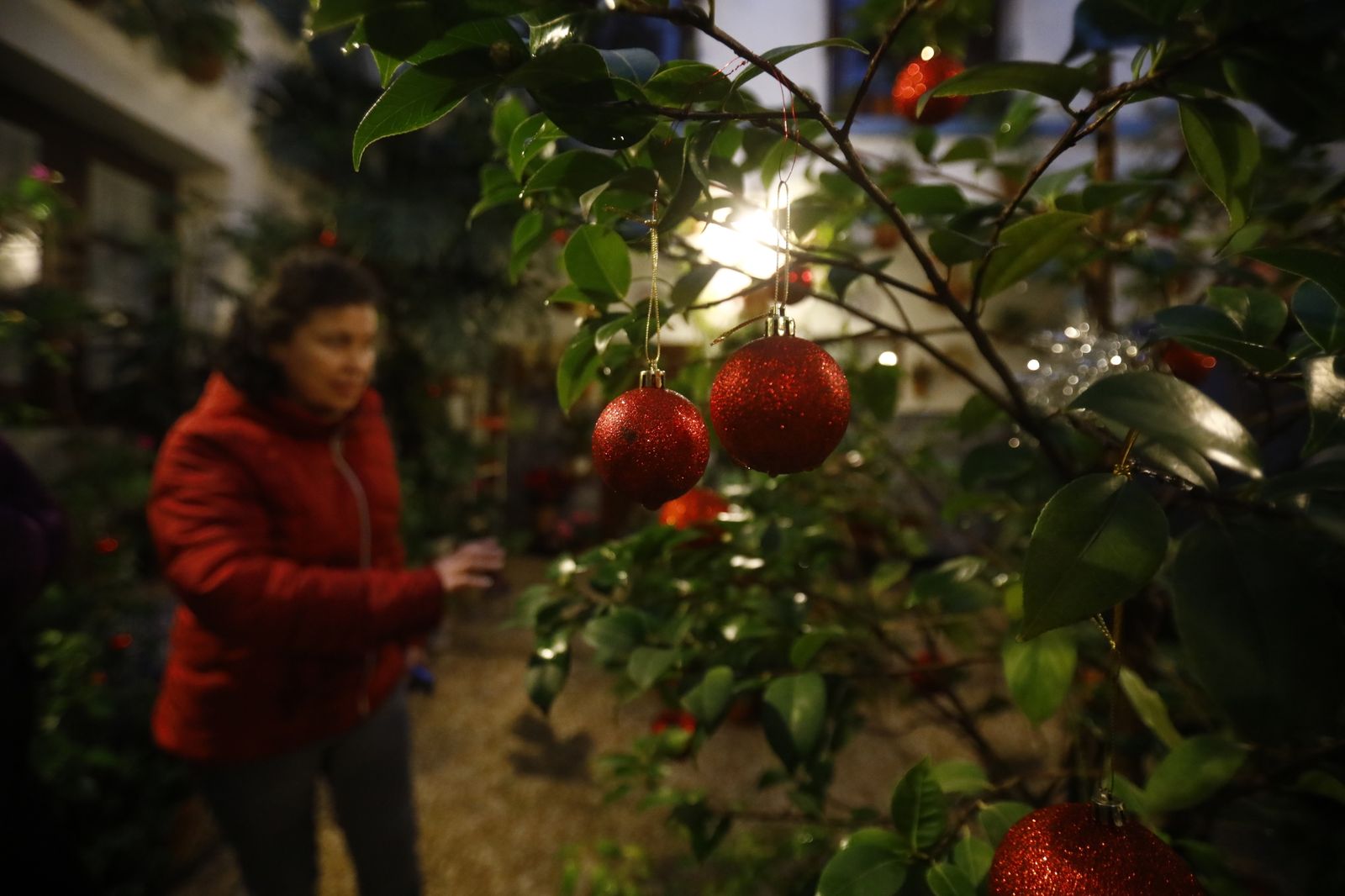 Los Patios de Córdoba abren por Navidad, en imágenes