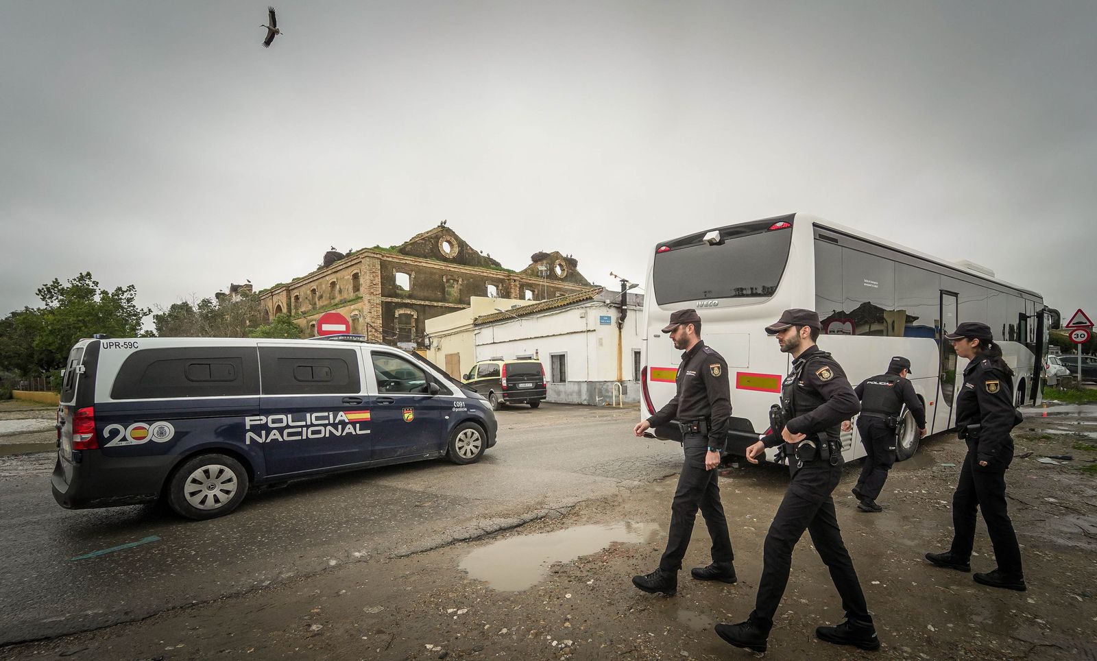 Imágenes de las graves consecuencias de la crecida del rio Guadalete en la zona rural de Jerez