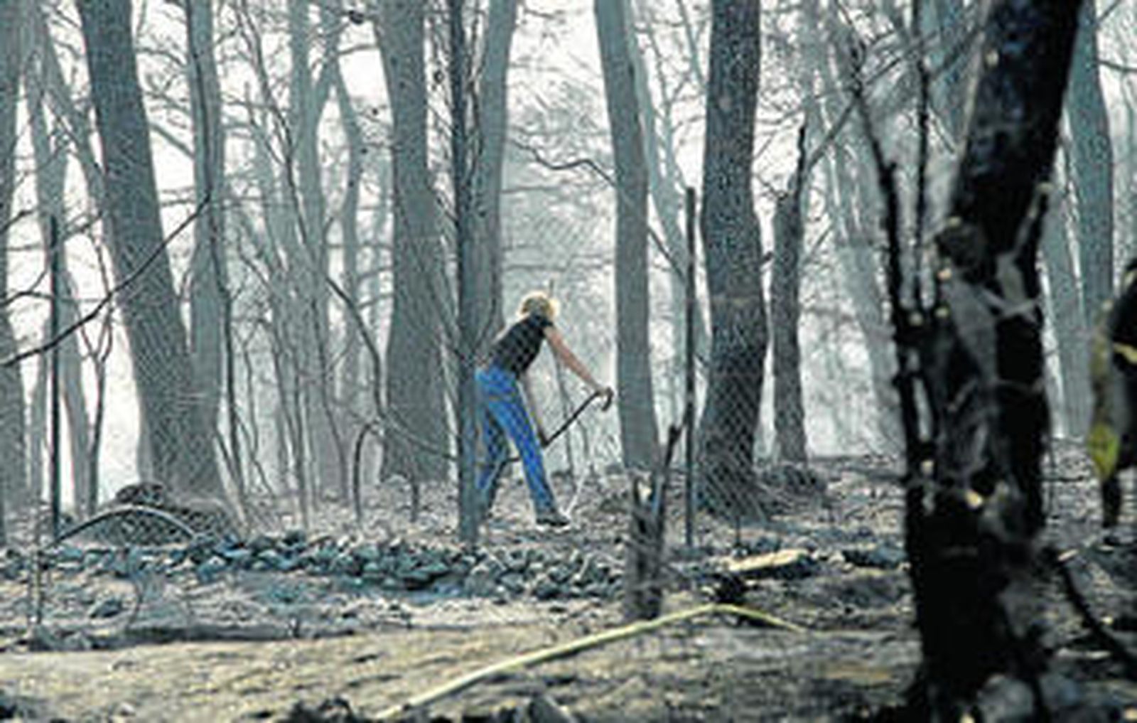 Una mujer arroja agua con una manguera sobre una zona calcinada del municipio de Onteniente.