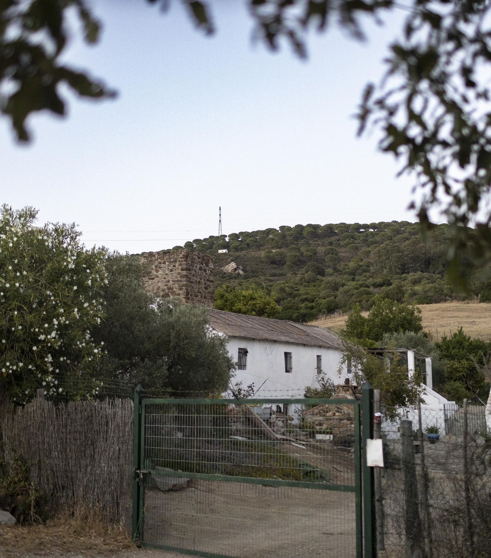El Molino de La Teja.
