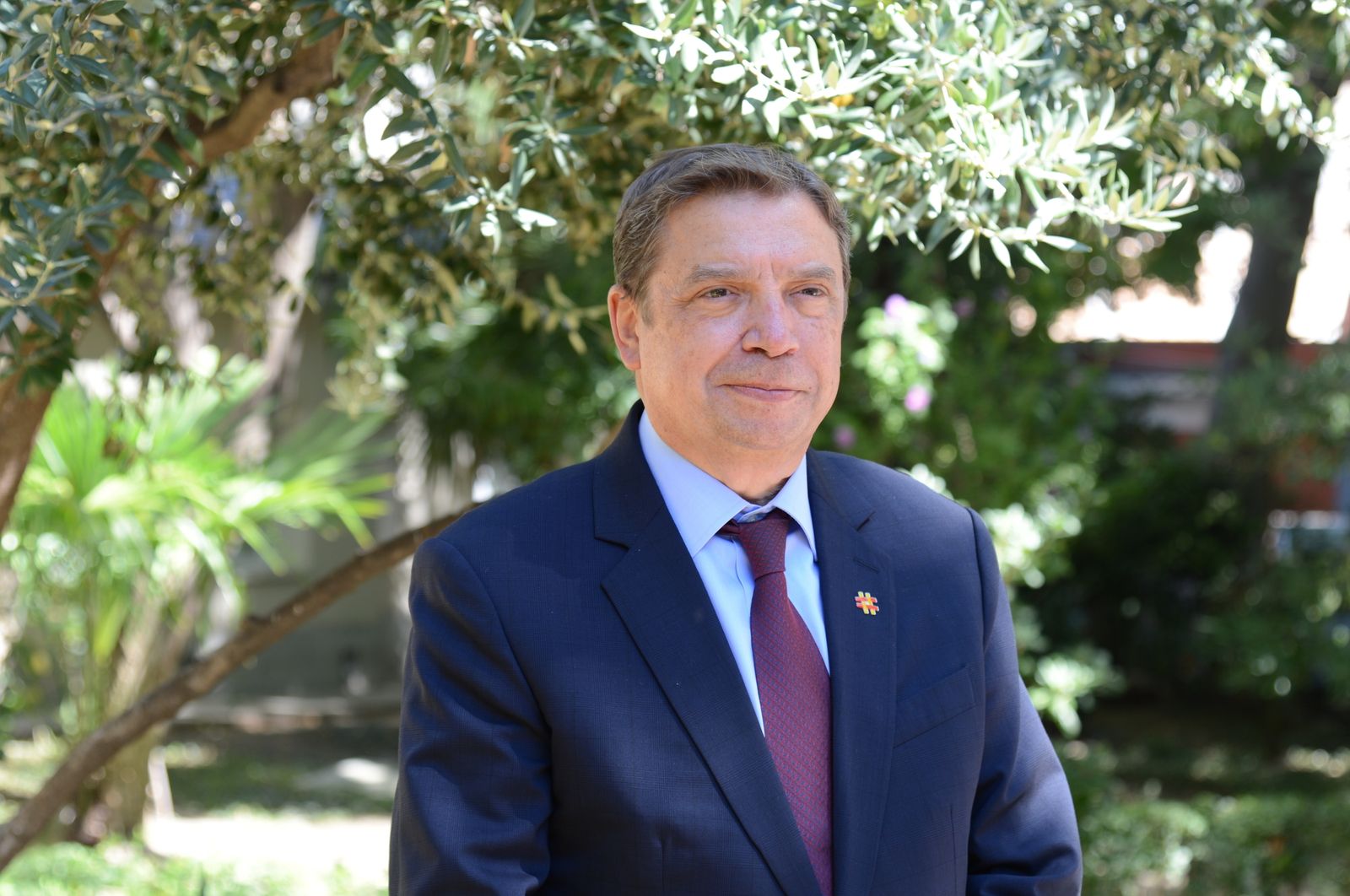 El ministro, en un olivar andaluz.