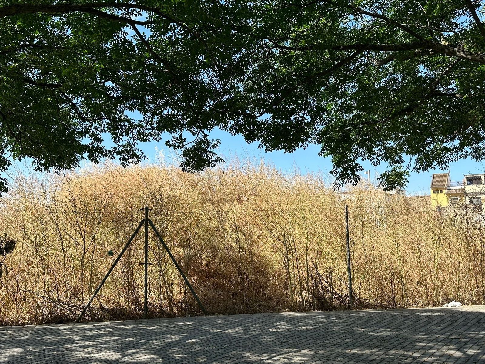 Foto de archivo de un solar.