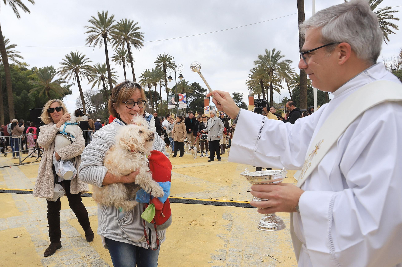 Jerez celebra San Antón 2025