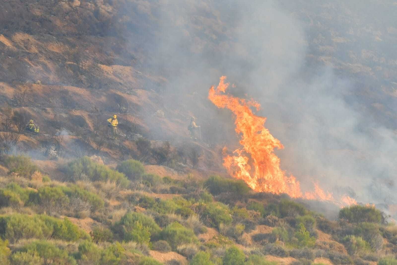 Una imagen del incendio forestal de Lecrín.