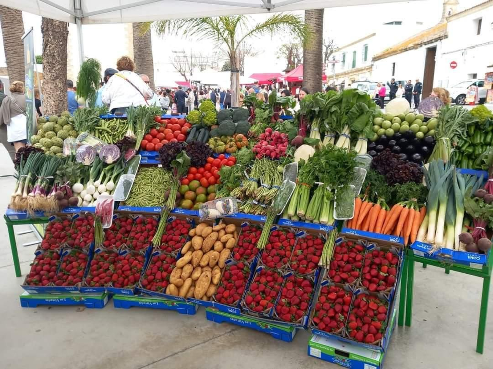 Esta ruta contará con una exposición de productos de la huerta. Esta ruta contará con una exposición de productos de la huerta.