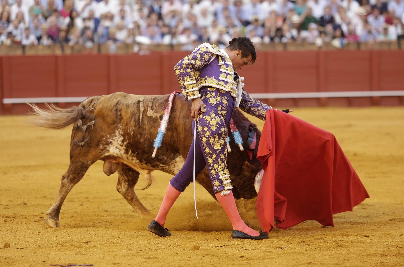 Las imágenes de la primera de abono de La Maestranza