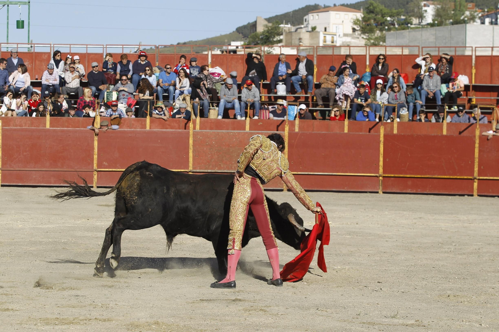 Fotogalería Novillada Fiestas de Abrucena